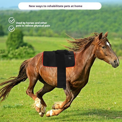 Roovita Wellness Premium Wellness Gear Free Shipping Always